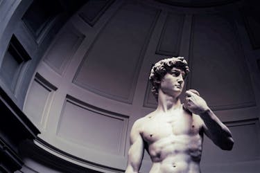 Florence Accademia Gallery guided visit